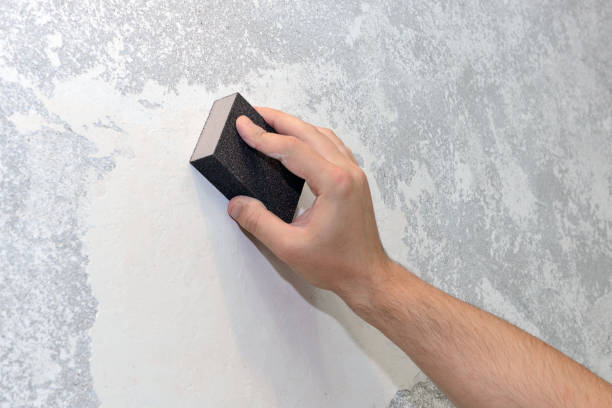 Best Forensic Mold Investigation  in Keene, NH