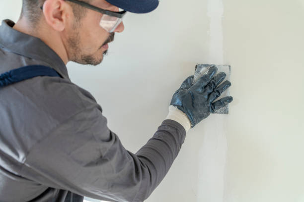 Best Mold Removal for HVAC Installations  in Keene, NH