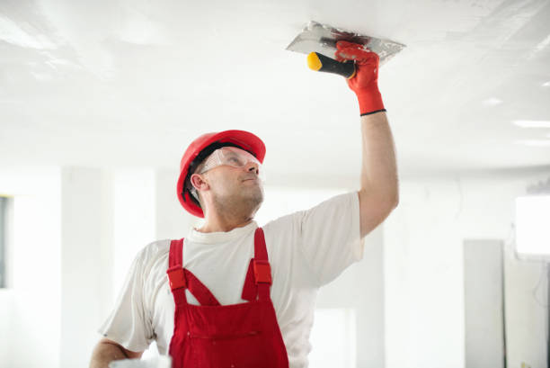 Best Residential Mold Inspection & Testing  in Keene, NH