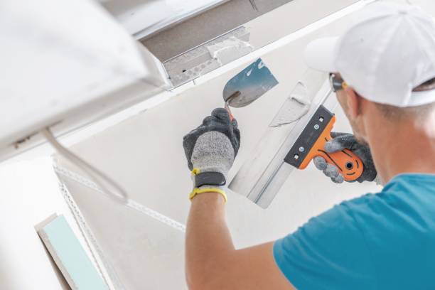 Best Black Mold Removal  in Keene, NH